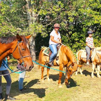 Cavallo_addio_nubilato Cavallo_addio_nubilato
