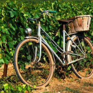 Bike_Tour_Langhe