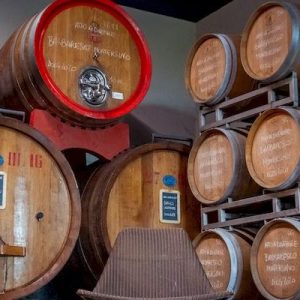degustare-vino-barbaresco-nelle-langhe Cantina, calici, barbaresco - Varie immagini della degustazione vini Barbaresco nelle Langhe