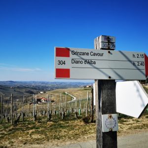 trekking nelle langhe (1) trekking nelle langhe