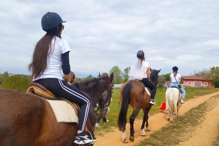 Horse-Relax-Weekend