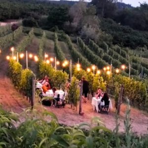 cena-in-vigna-nubilato