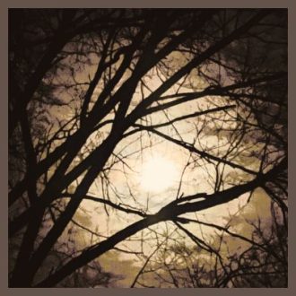 nubilato-pernottamento-bosco