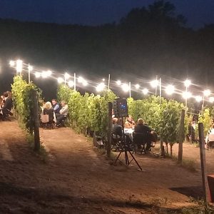 weekend-nubilato-cena-vigna