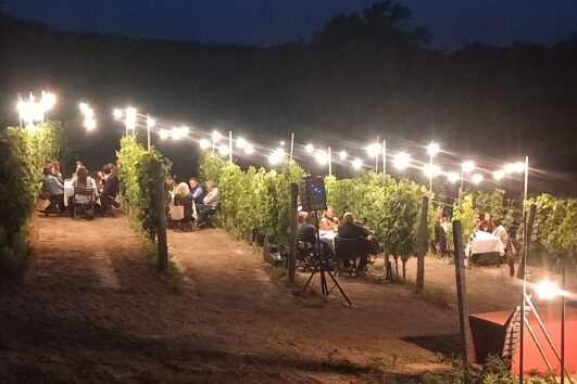 Addio al nubilato weekend d’estate nelle Langhe,  tra Spa e cena in vigna
