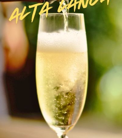 vini-langhe-altalanga vini-langhe-altalanga