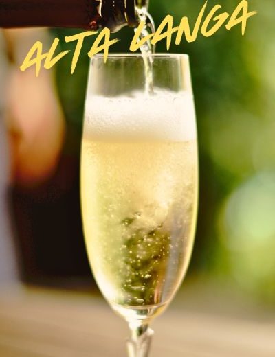 vini-langhe-altalanga vini-langhe-altalanga