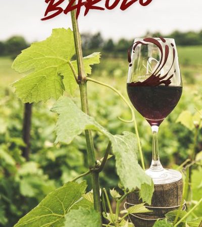 vini-langhe-barolo vini-langhe-barolo