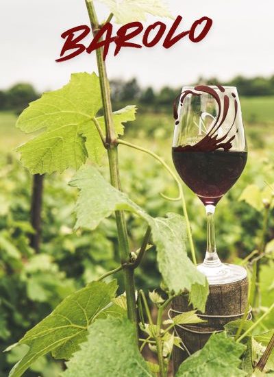 vini-langhe-barolo vini-langhe-barolo
