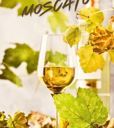 vini-langhe-moscato vini-langhe-moscato