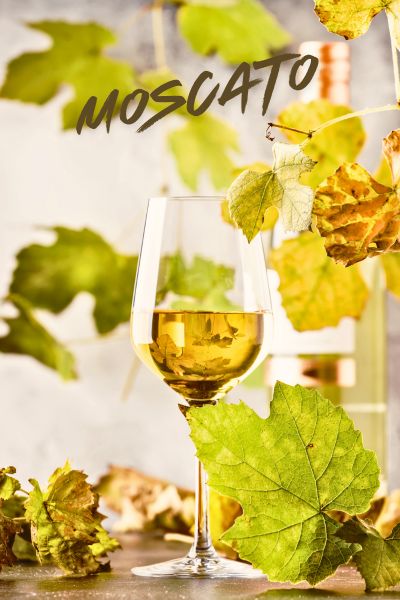 langhe-moscato-wine langhe-moscato-wine