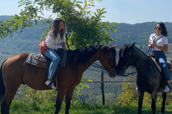 CAVALLO CAVALLO
