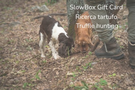 SlowBox Ricerca del tartufo nelle Langhe