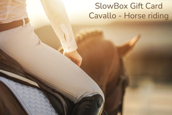 una ragazza a cavallo nelle langhe