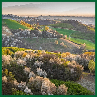 SlowDays-Langhe-Tour-Operator