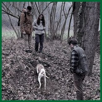 slowbox-ricerca-tartufo