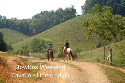 ragazzi a cavallo nelle langhe