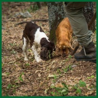 slowbox-weekend-tartufo