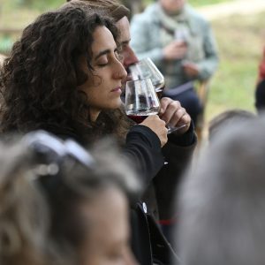 MINDFUL WINE TASTING_LANGHE1 MINDFUL WINE TASTING_LANGHE1