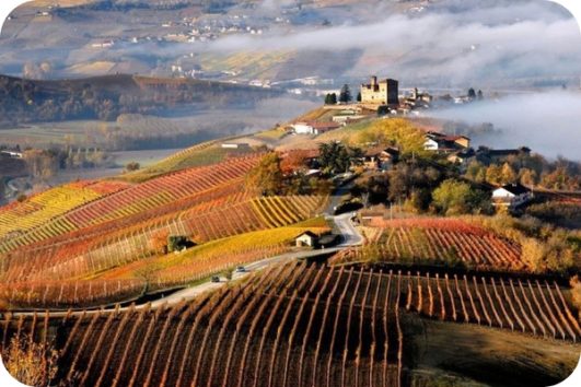 Langhe vineyards in autumn with yellow and red leaves
